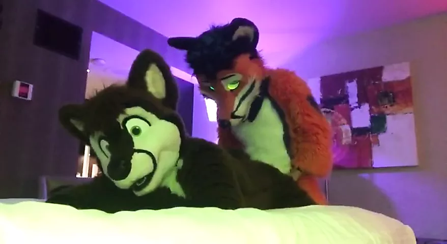 Two Gay Furries Fucking 2 DONKPARTY Com