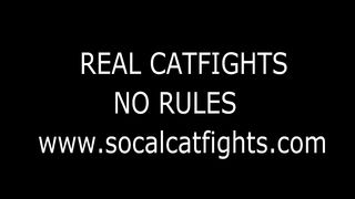 REAL CATFIGHTS NO RULES